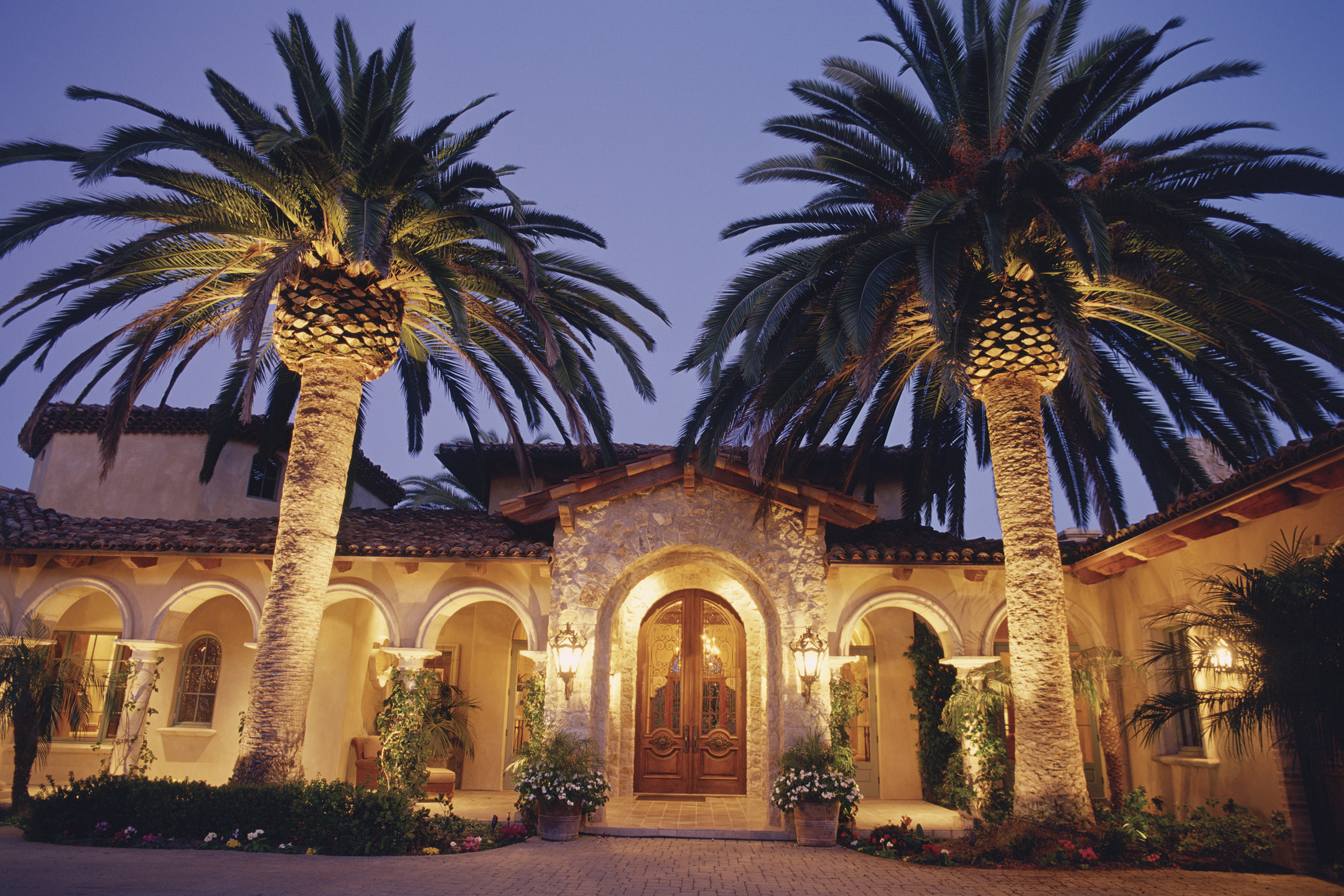 Palm trees in front of mansion